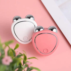 Portable Electric Face Lift Roller Massager EMS Sonic Facial Lifting